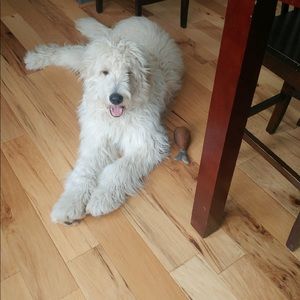 Meet your Posher, Kerri